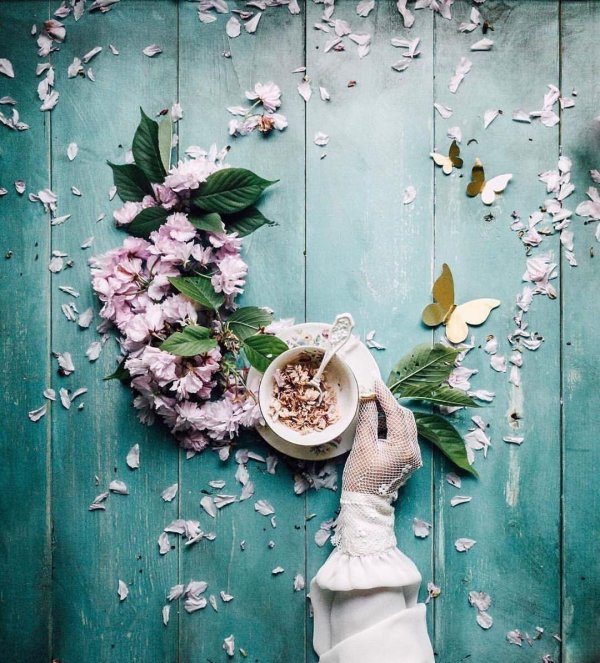 весна для инстаграмма