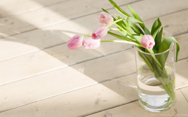 цветок в вазе