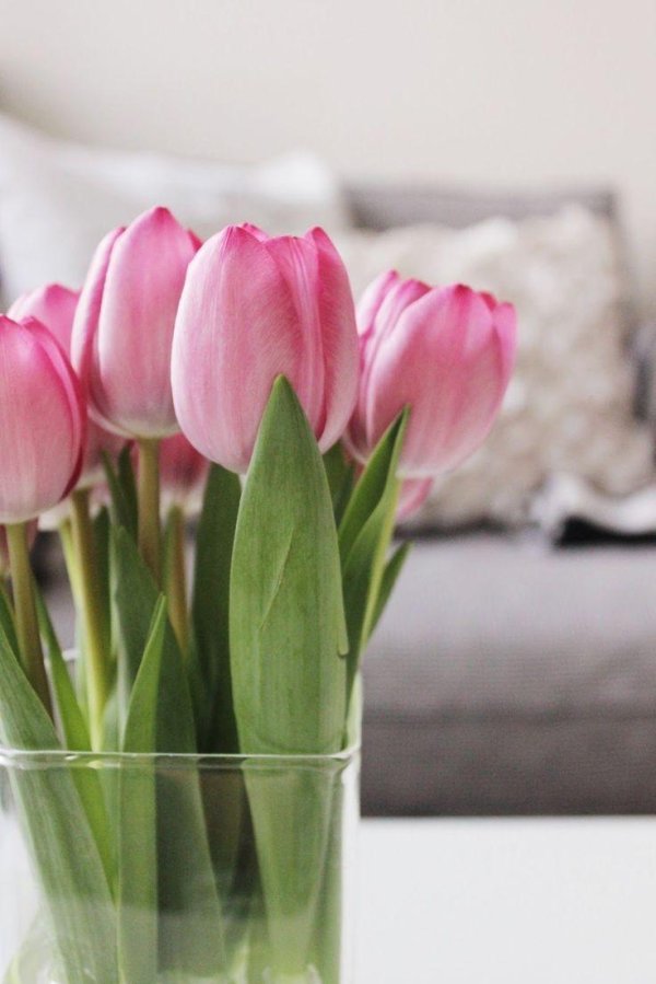 Весна стильные