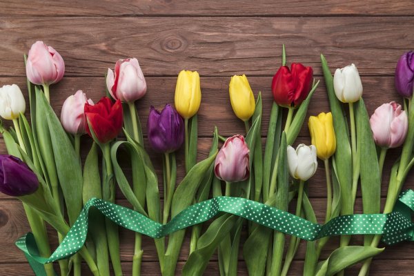 букет тюльпанов разноцветных