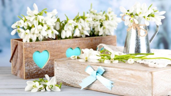 8 марта подснежники