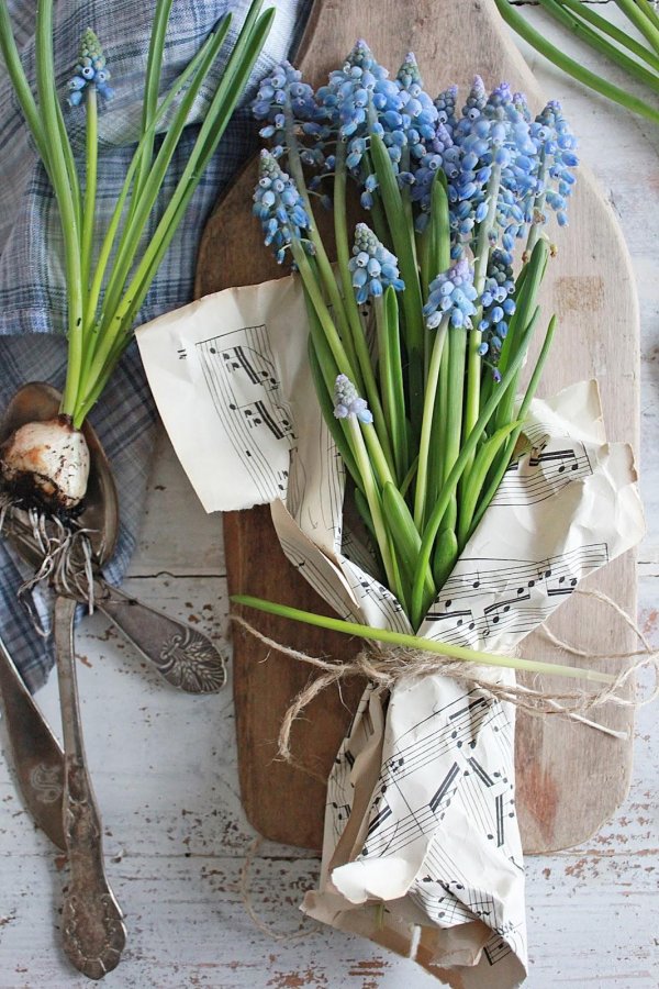 мускари монобукет