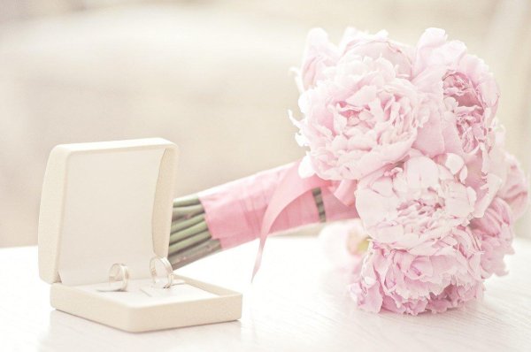 нежные пионы