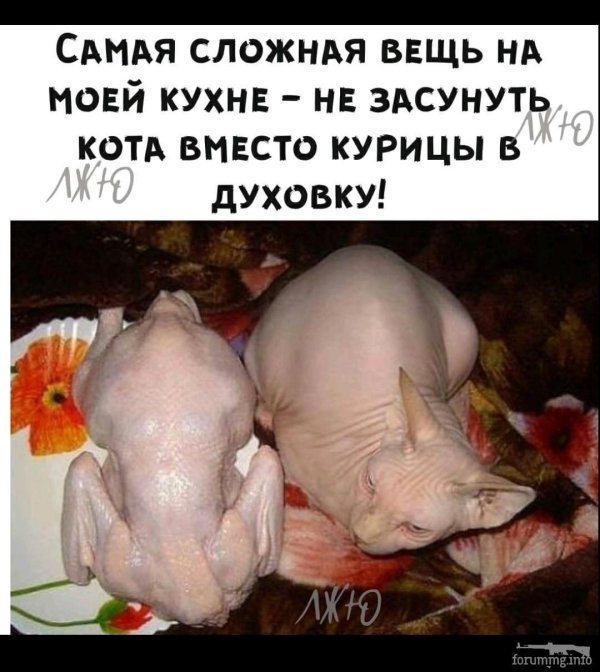курицу целую
