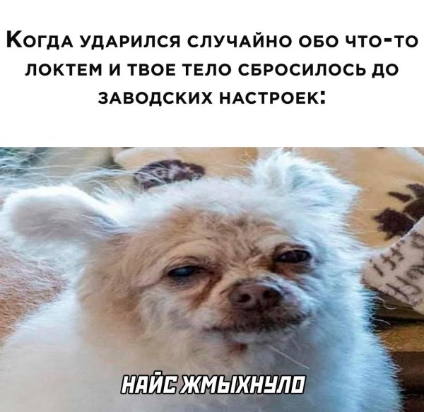 актуальные мемы
