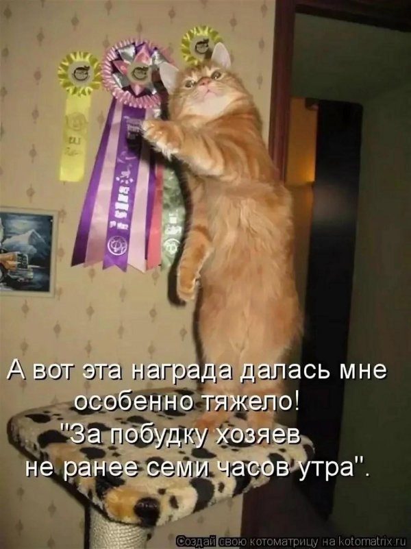 награда твоя