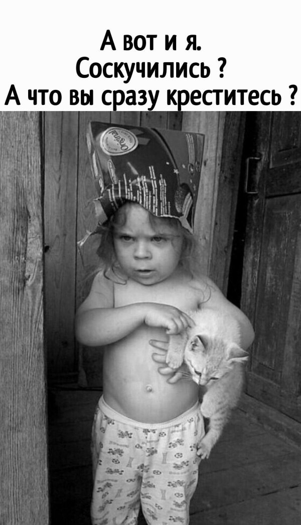 юмор смешной