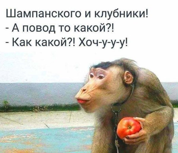 хочу шампанского