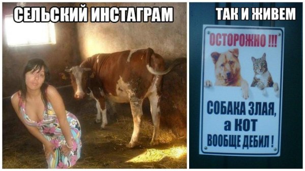 сельскохозяйственное животное