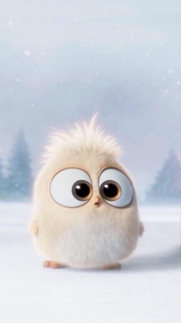 энгри бердз птенцы