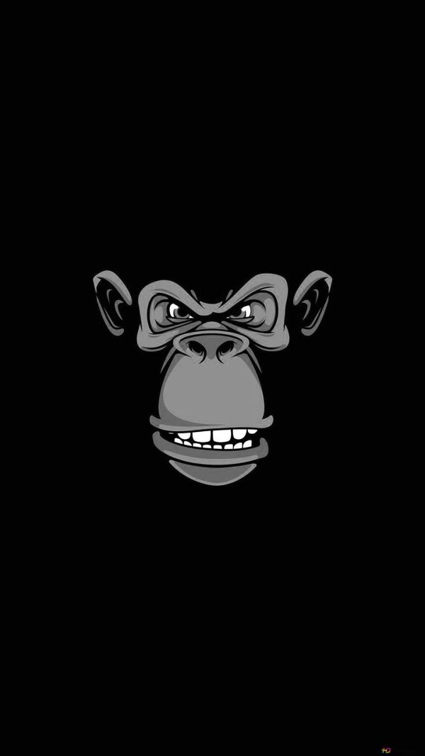 смешные обои на телефон