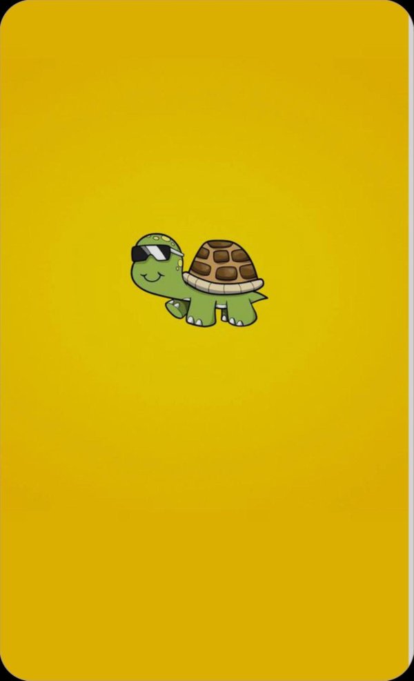 милая черепашка
