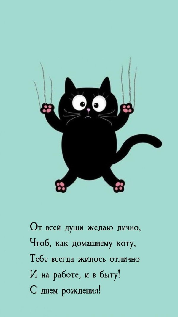 прикольные поздравления