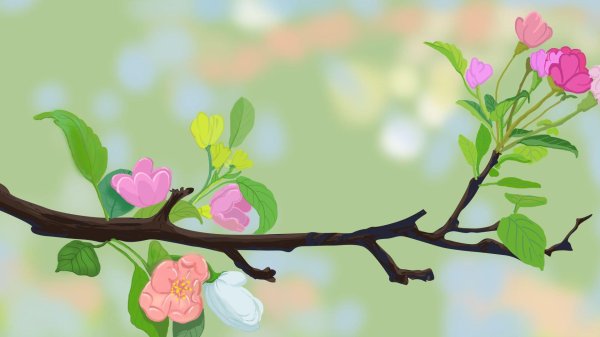 цветущая ветка