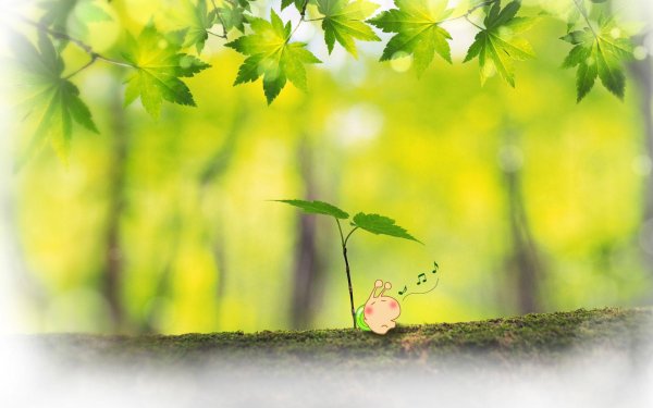 росток дерева