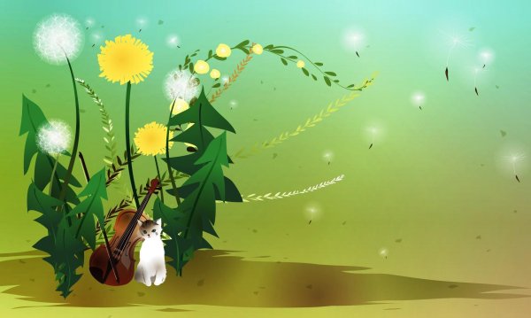 цветок одуванчик