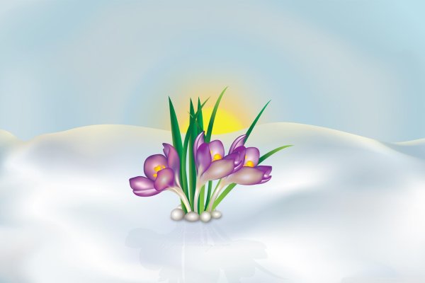 первоцветы подснежники крокусы гиацинты