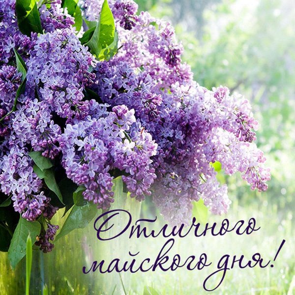 пожелания с добрым майским утром