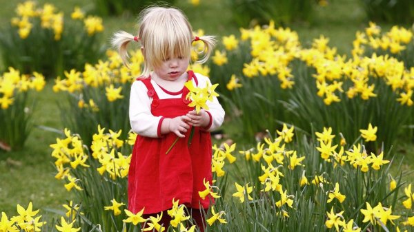 нарцисс для детей