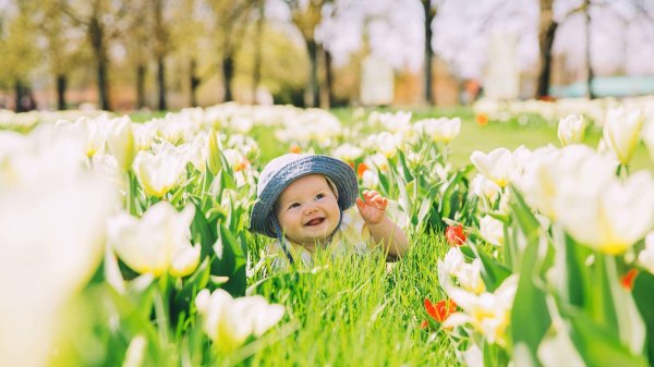 тюльпан для детей