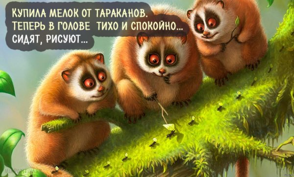 приколы юмор