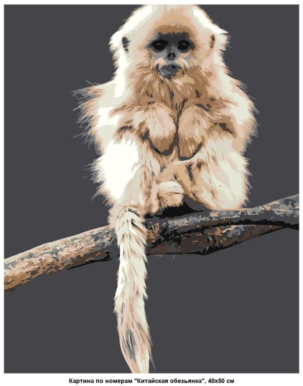 пушистая обезьяна