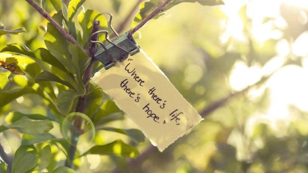 слово со смыслом