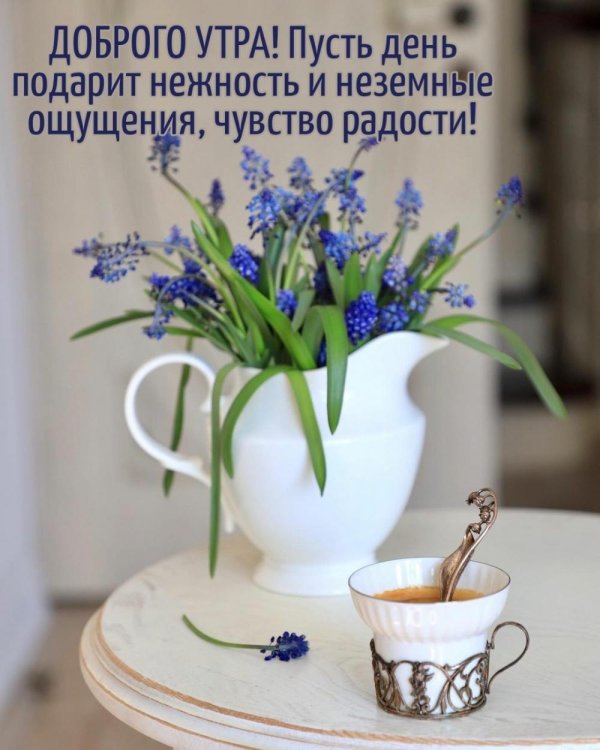 доброе утро гиацинты