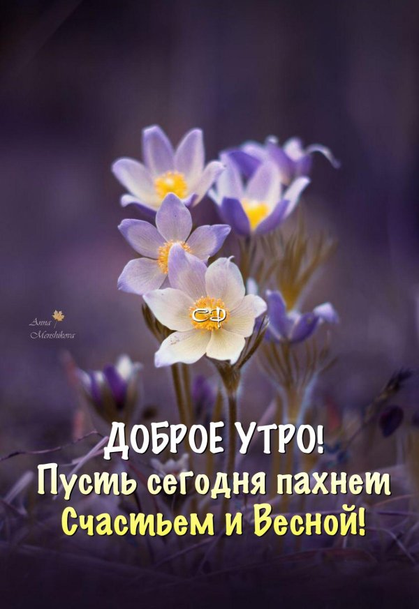 добрейшего весеннего утра
