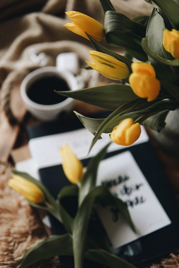 жëлтые тюльпаны