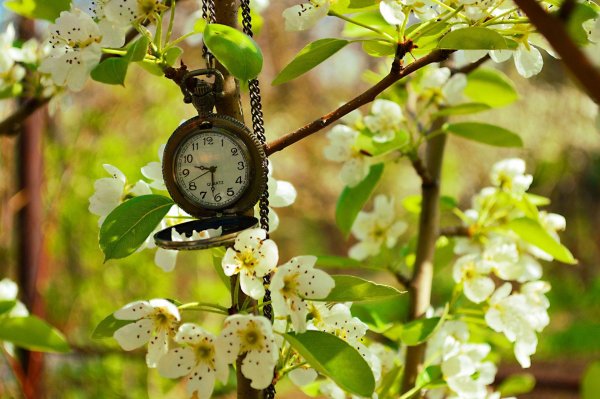 часы красивые