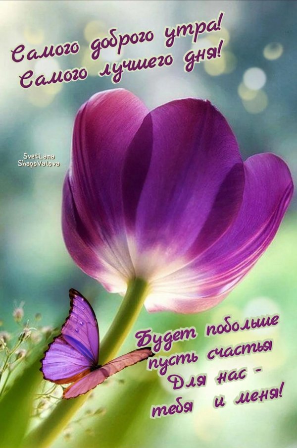 самого лучшего утра