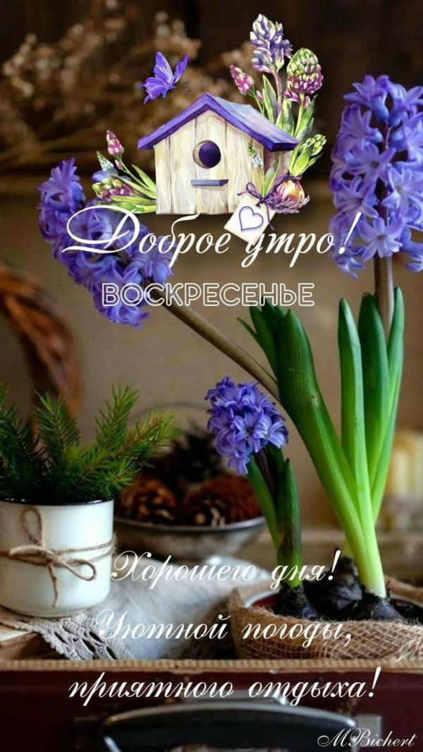 добрейшего весеннего утра