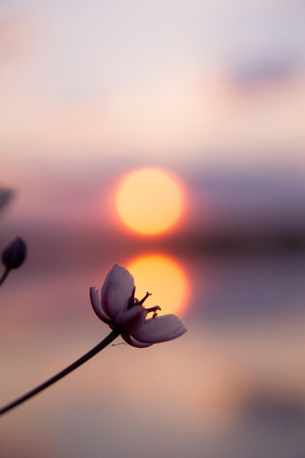 закат красивый