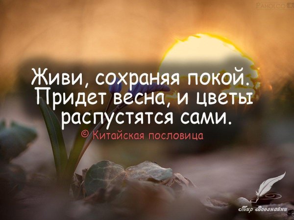 живи сохраняя покой придет весна
