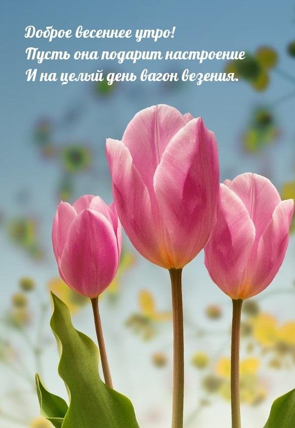 доброго утра весеннего настроения