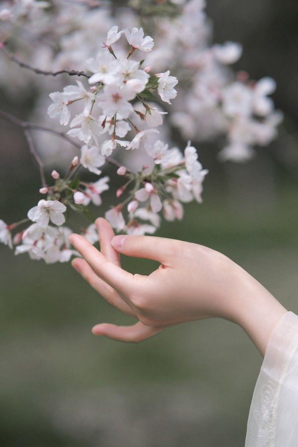 фотосессия весенняя