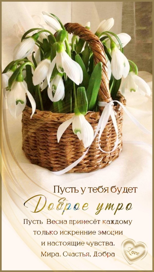 подснежник букет