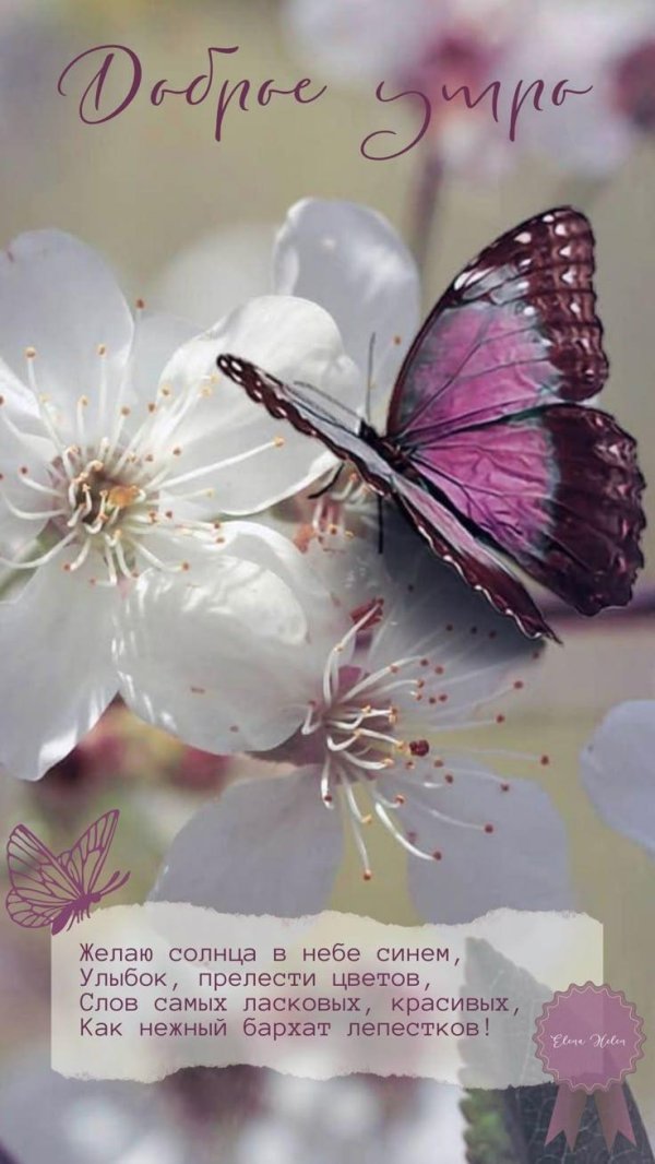 волшебная открытка