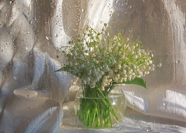 букет ландышей натюрморт