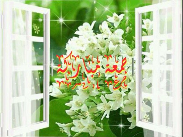 окно с цветами