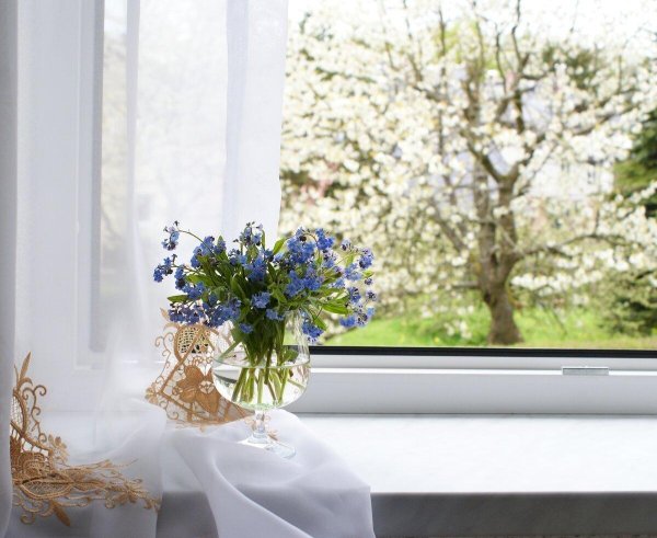 доброе утро незабудки