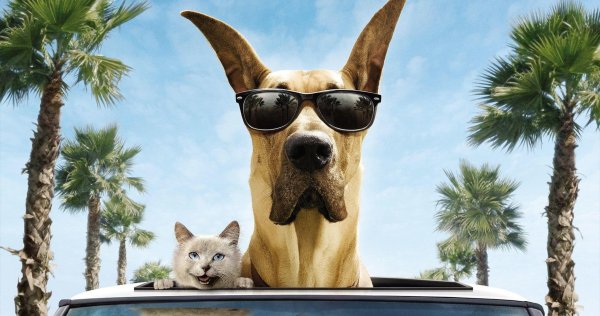 дог мармадюк