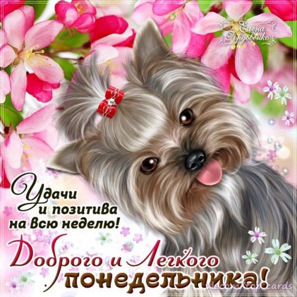 легкого понедельника