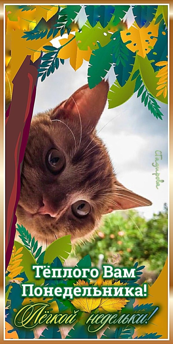 теплый понедельник