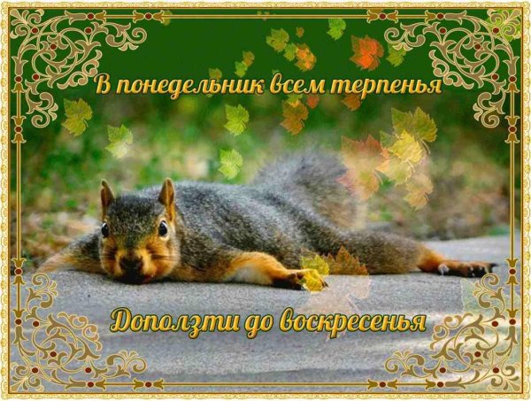 открытка с воскресеньем