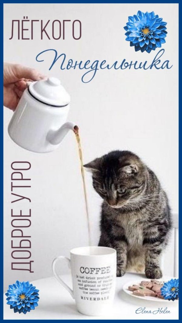 понедельник доброго утра