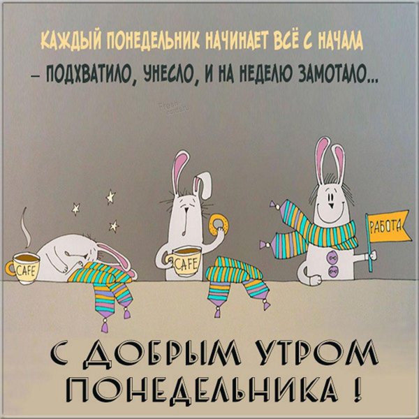 доброе утро понедельника юмор