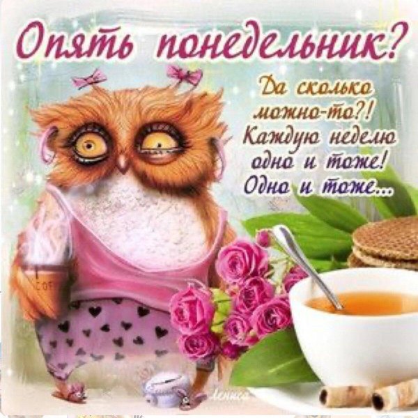 С понедельником прикольные