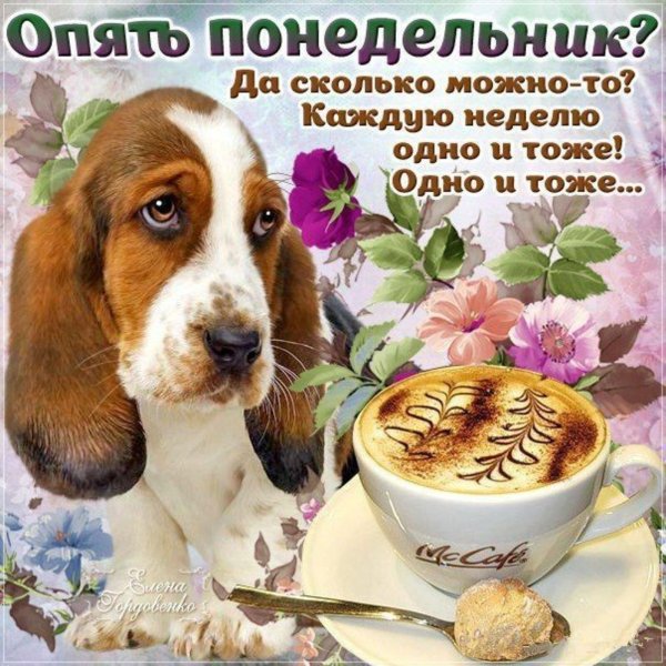 отличного понедельника